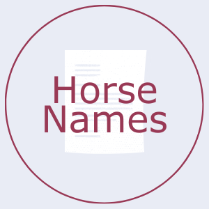 Button that says horse names. This links to the horse names page.