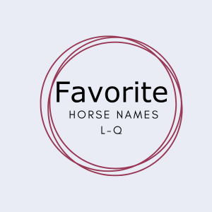Graphic that says favorite horse names L-Q.