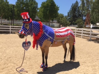 A horse dressed up in a patriotic outfit including red and white striped cloth. Blue and white star shoulder and neck cover. A red, white, and blue hat. A heart that says USA is attached to the halter