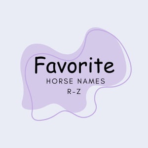 Graphic that says favorite horse names R-Z.
