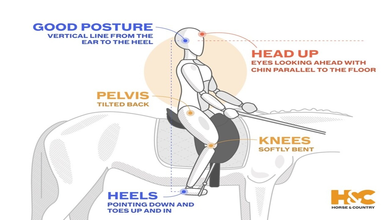 Image from Horse and Country showing a person on a horse with the labels showing what makes a good riding position
