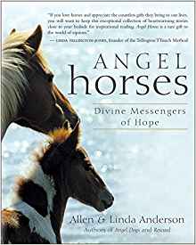 The cover of the book Angel Horses: Divine Messengers of Hope by Allen & Linda Anderson.