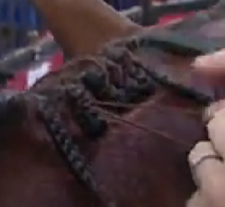 Image from AQHA YouTube channel demonstrating hunter braids