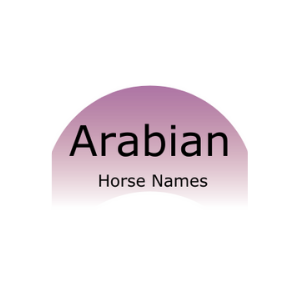 Graphic that says Arabian horse names.