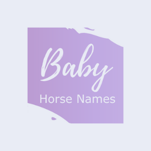 Graphic that says baby horse names.