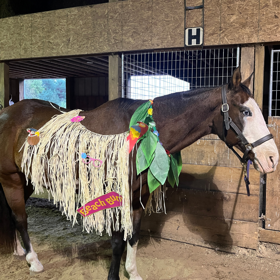 A horse dressed in beach items like a straw material with different beach items and a leafy wreath around its neck