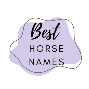 best horse names