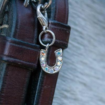 A silver horseshoe charm with sparkles on a brown bridle. The bridle is on a grey horse.