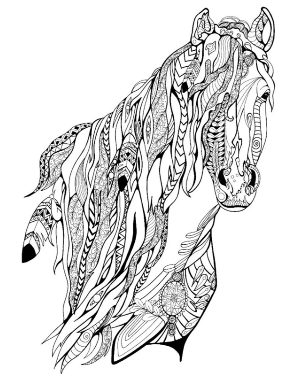 Wild Horses of Canada coloring pages from NeonRavenArt on Etsy