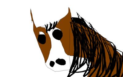 my dream horse, Milo