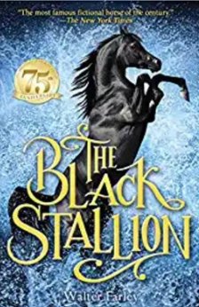 A picture of the book The Black Stallion.