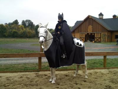halloween horse costume crayon horse