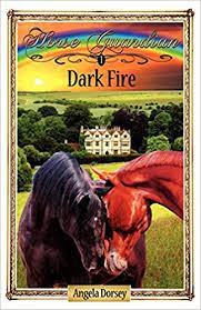 A picture of the book Dark Fire.