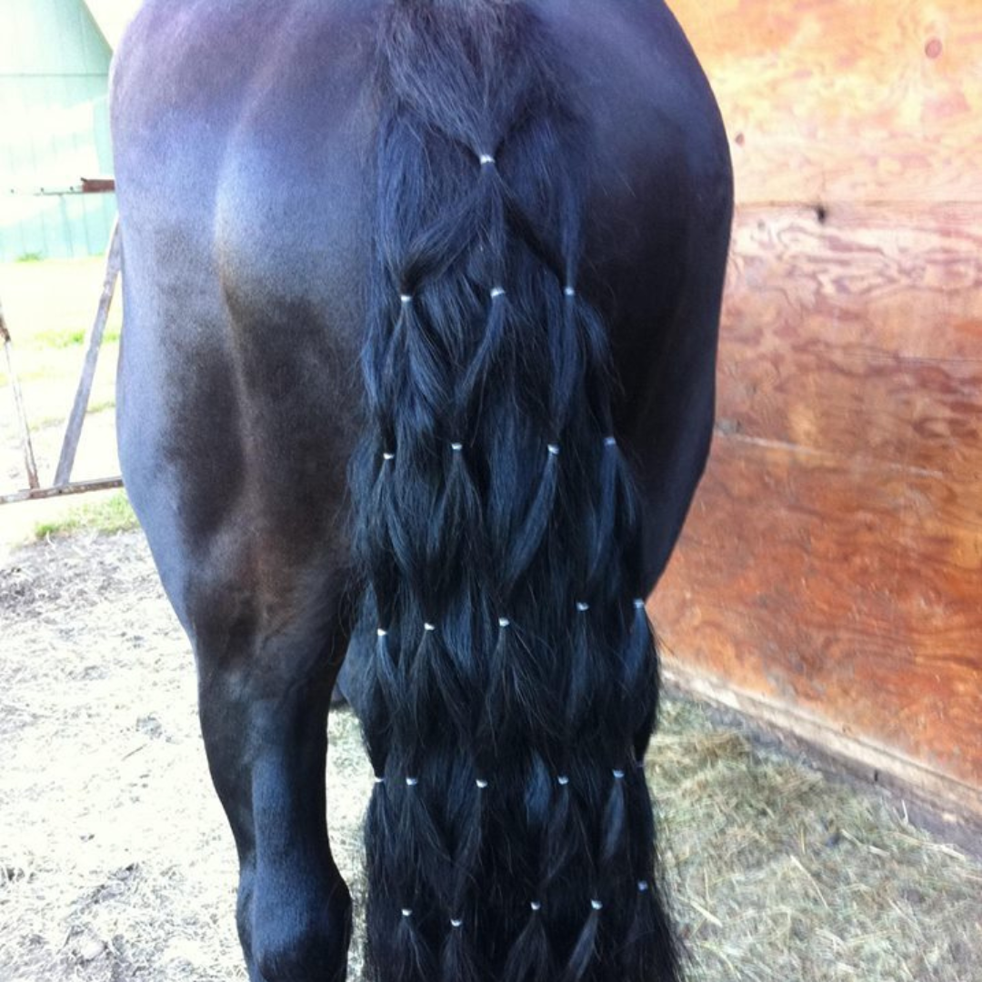 Diamond horse tail braid Tail picture is from ridiculouslygorgeousequines.tumblr.com that Wanda Lindsoe appears to have shared