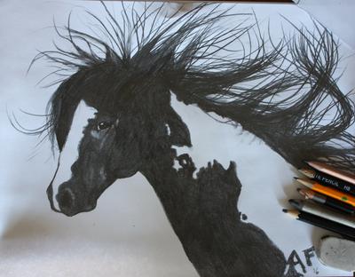 Horse Drawing: Dreams of the WILD west 