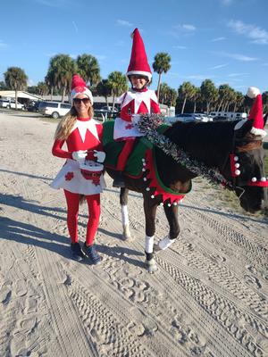 horse halloween costume elf on the shelf  and elf pet