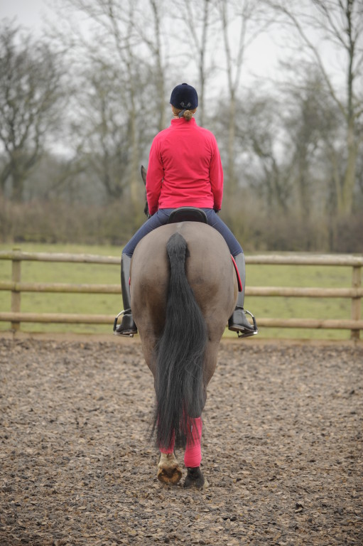 Image from Equipilates of woman riding a horse