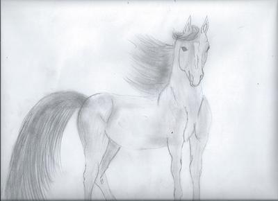 A pencil drawing of a horse standing still with its mane and tail blowing in the wind. The horse has a white star marking.