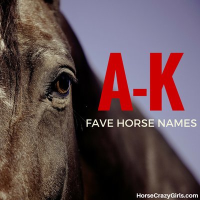 A grey horse's eye and a little bit of the horse's face which features a white star. In the background is a blue sky. A-K is written in red lettering to the right of the horse's eye. Below that in white lettering is Fave Horse Names.