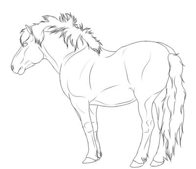 A line art drawing of a Fjord horse.