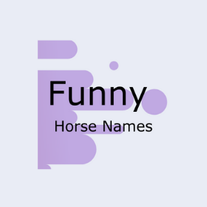 Graphic that says funny horse names.