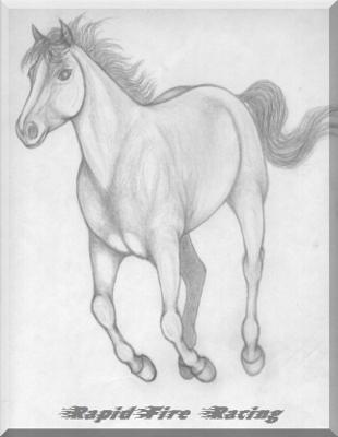 a pencil sketch for my online horse ranch