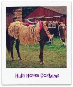 A horse dressed up in Hula costume with a straw skirt on.