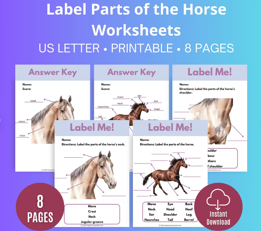 Label the Parts of the Horse anatomy worksheet printable