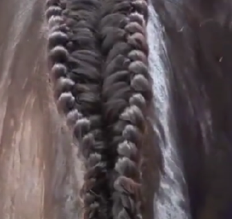 Image from a video in the Heather Bender YouTube channel of a horse with a double braided mane