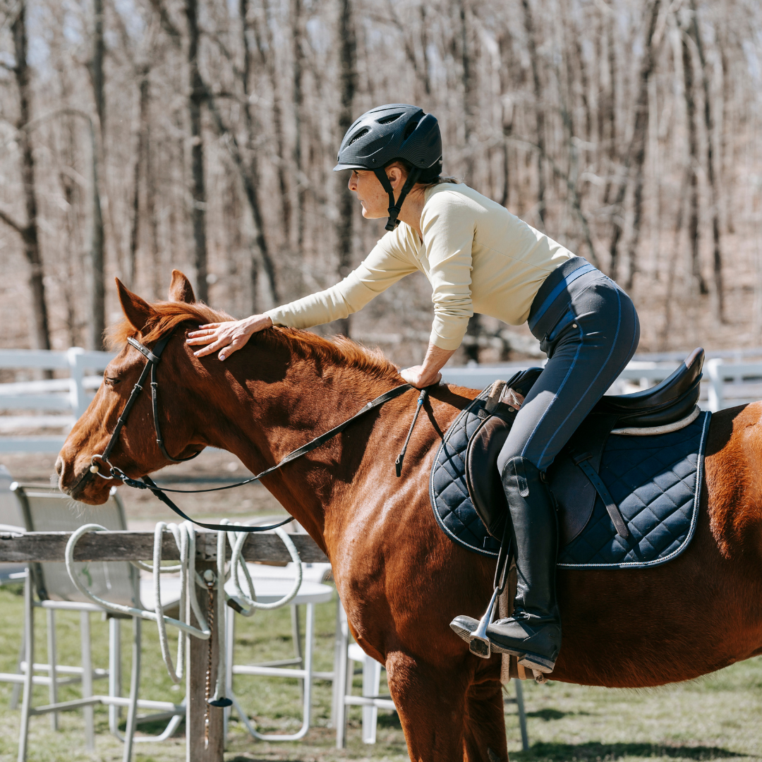 Woman riding chestnut horse
