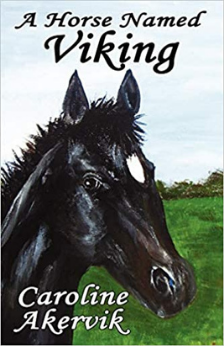 A Horse Named Viking by Caroline Akervik  book cover