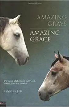 A picture of the book Amazing Grays, Amazing Grace.