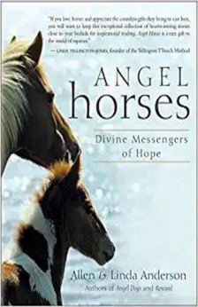 A picture of the book Angel Horses: Divine Messengers of Hope.