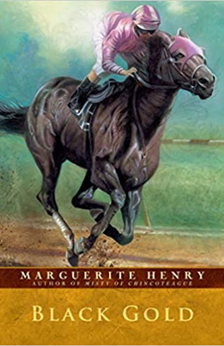 Black Gold by Marguerite Henry book cover