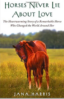 A picture of the book Horses Never Lie About Love.