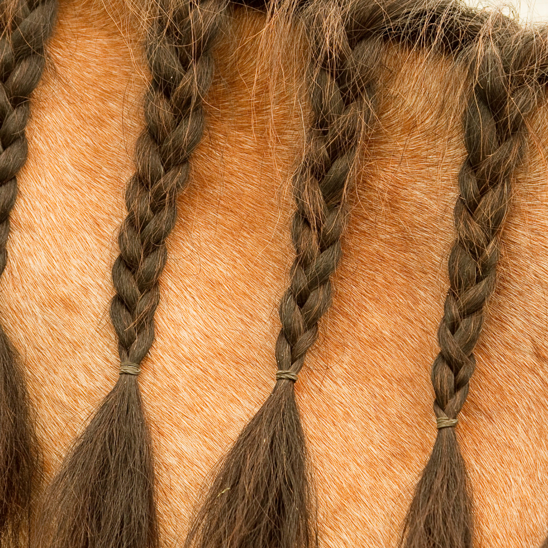 A braided horse mane