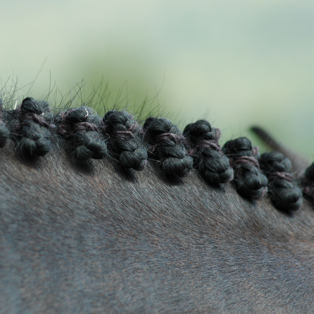 hunter braids