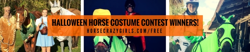 Halloween horse costume contest 2016 winners