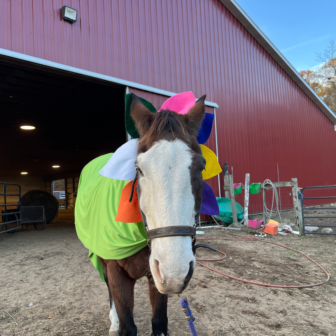 A horse dressed as a flower
