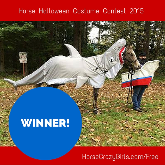 Horse Halloween costume. The horse is dressed up as a shark. There is a circle that says winner on the picture. The girl is dressed like a boat.