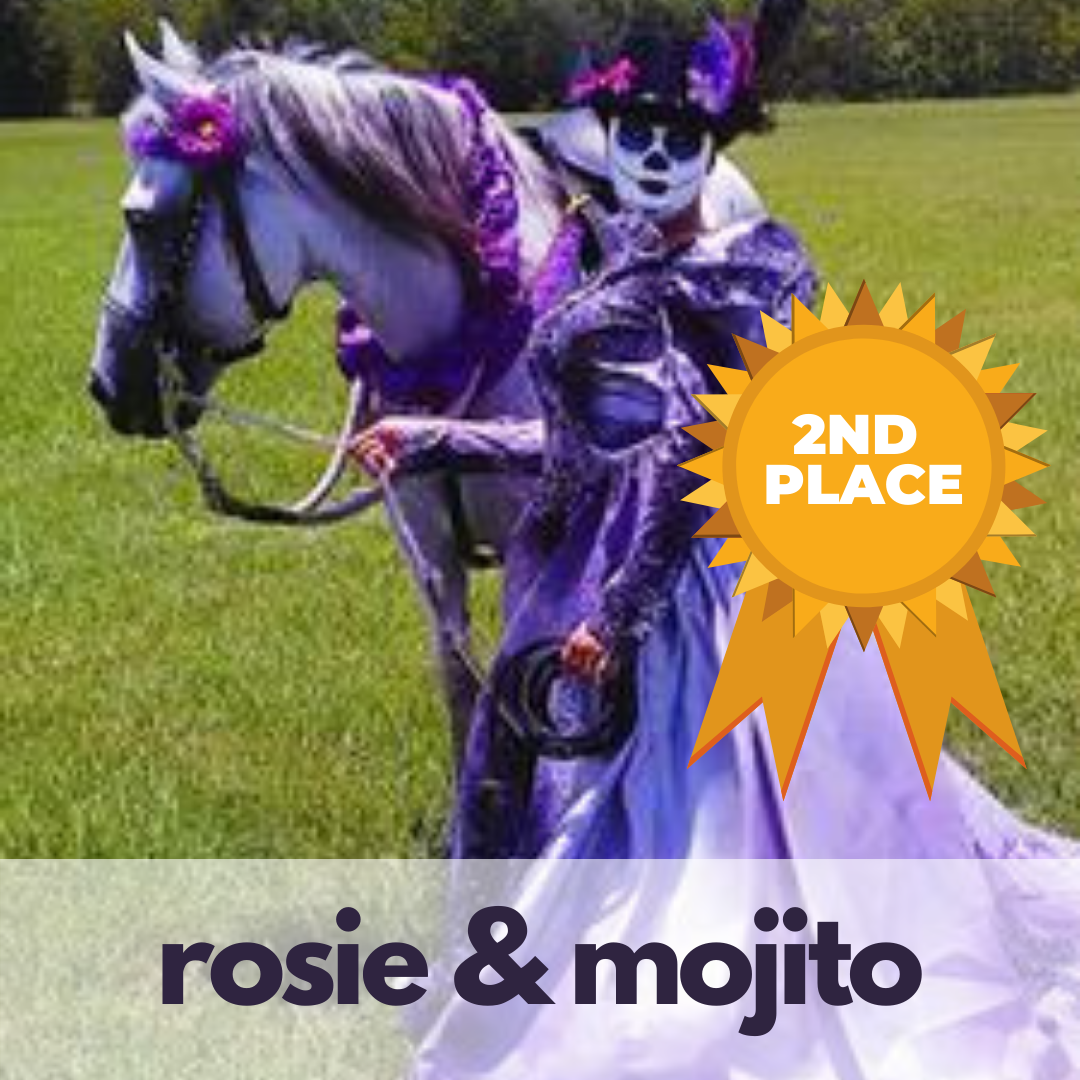 Horse halloween costume contest winner: second place. The horse is decorated with purple elements and the girl is dressed like a dead bride in purple.