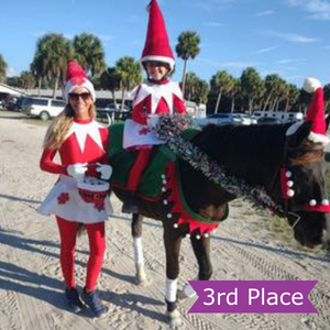 Horse Halloween Costume Contest 2021 3rd Place Winner: Elf on the Shelf