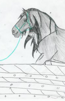 A pencil drawing of a horse wearing a blue halter with a blue lead rope behind a wall. Only the horse's head, shoulder, and neck are drawn.