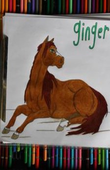 A drawing of a buckskin horse named Rocco with stripes on its legs. The drawing is on top of a case filled with colored pencils.