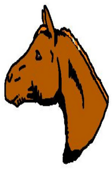 A digital drawing of a chestnut horse's head. Only the horse's head and neck are drawn.