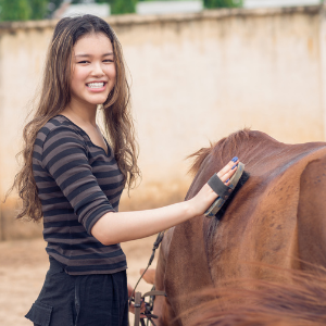 Girl grooming a horse