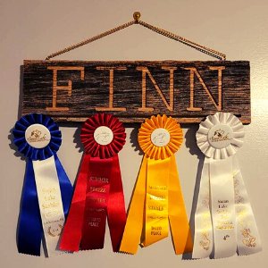 Personalized Horse Sign Ribbon Display gift for equestrians