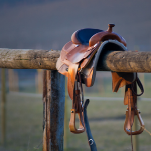 Western saddle on a rail
