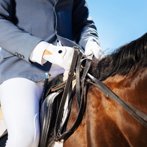 Person riding a horse, the picture is zoomed in on the hands and reins