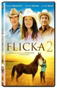 A picture of the movie Flicka 2.